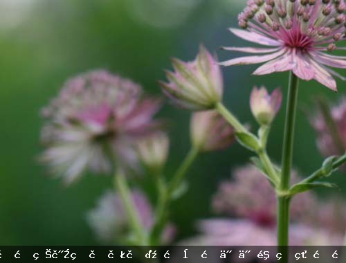 USB手柄玩转王者荣耀:提升操作体验的终极指南