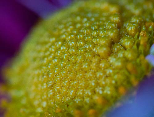 CF FPS显示：提升游戏体验的关键设置与优化技巧