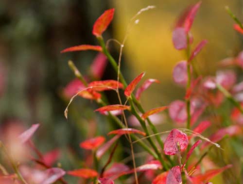 CF带斌字的名字推荐：独特霸气游戏ID大全