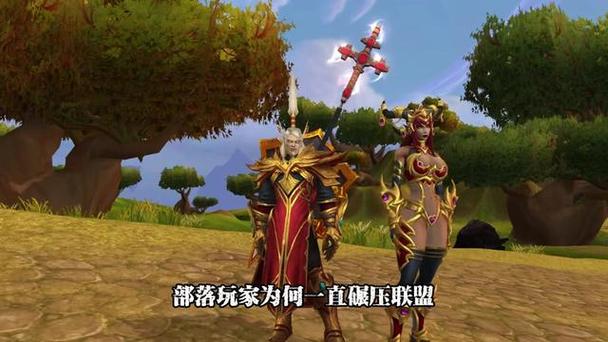 魔兽世界普查：2024年联盟与部落玩家比例揭秘