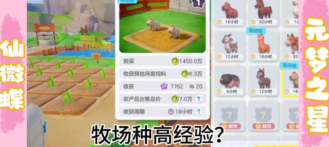 龙之谷农场怎么升级快？提升农场等级的小窍门！