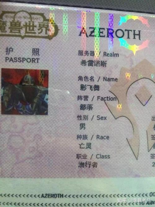 魔兽世界护照有什么用？看完这篇你就懂了！