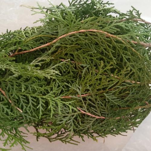 青松奇迹有用吗？效果到底好不好？