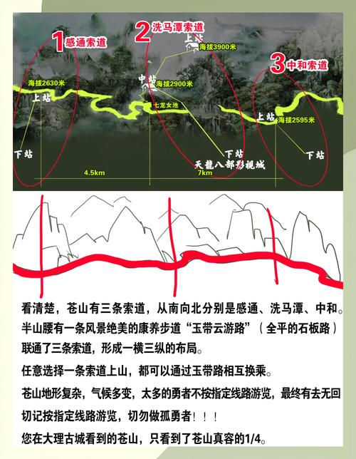 高山走廊伐木场哪家强？对比这几家不吃亏！