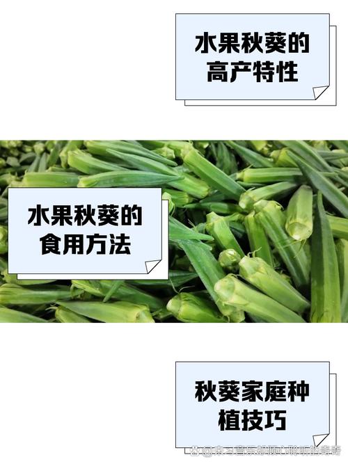 最新秋葵草莓丝瓜黄瓜榴莲大全，一次性看个够！
