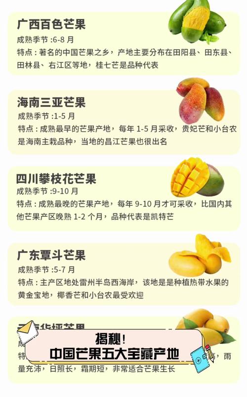 芒果日产一二三四怎么选？详细对比一看就懂！