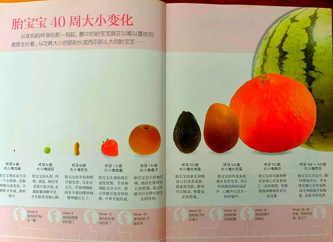 芒果日产一二三四怎么选？详细对比一看就懂！