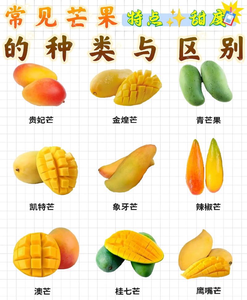 芒果日产一二三四怎么选？详细对比一看就懂！