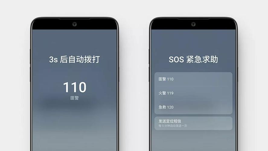 野鸽子下载最新版来了！新功能抢先体验！