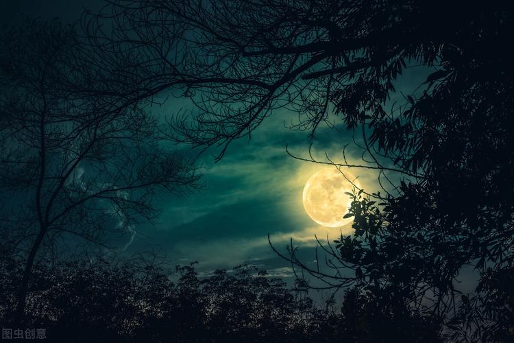 适合一个人看的夜晚软件大盘点，晚上不无聊！