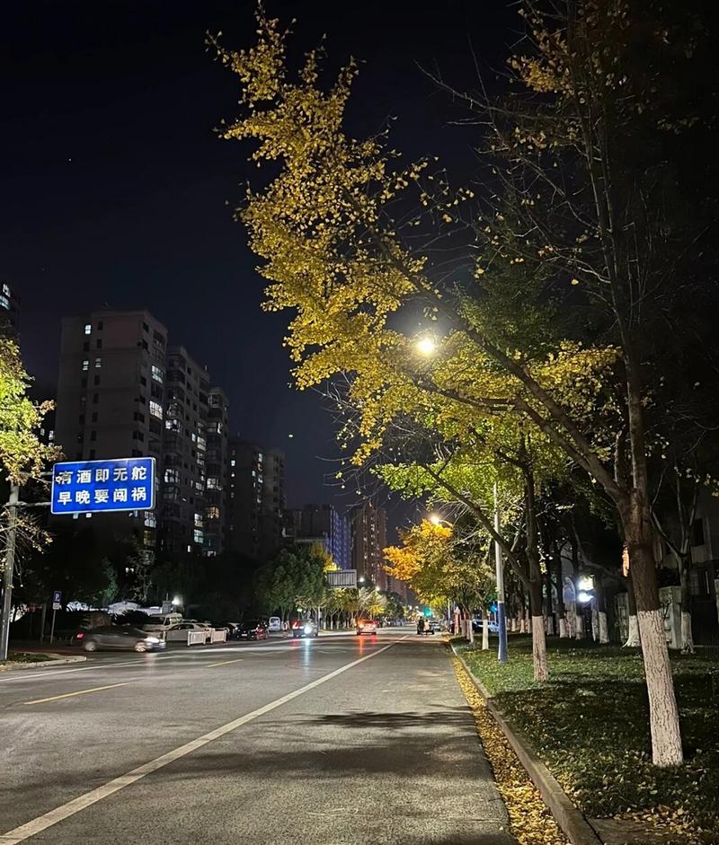 适合一个人看的夜晚软件大盘点，晚上不无聊！