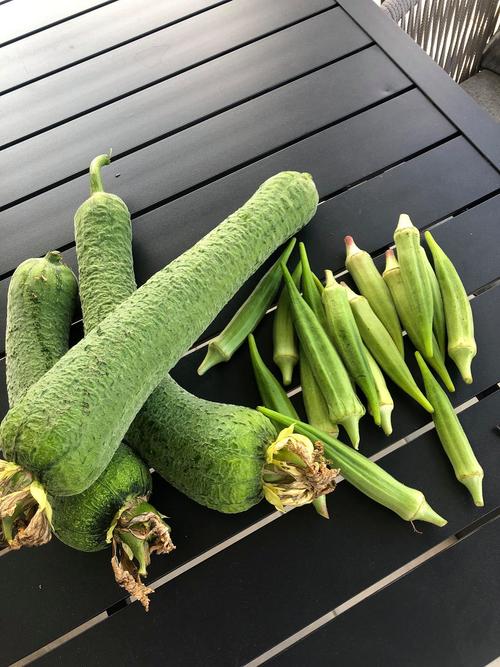 草莓丝瓜秋葵向日葵榴莲石榴，这些水果蔬菜你都爱吃吗？