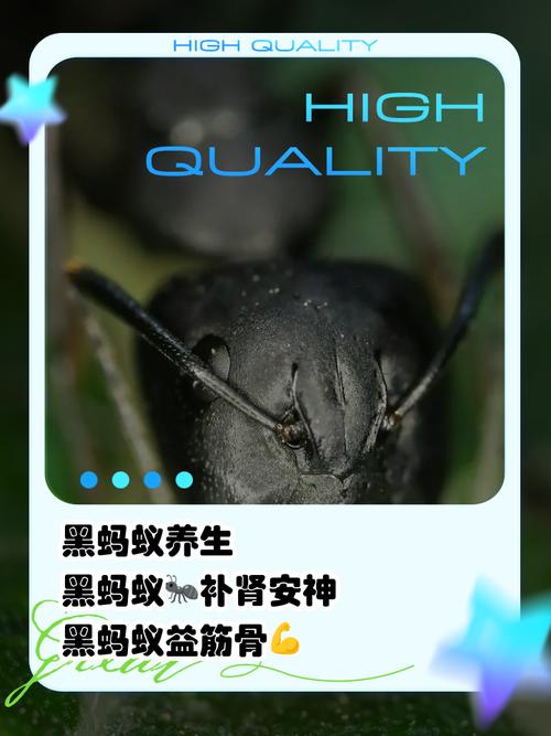 突然火起来的蚂蚁牙黑，究竟是什么意思？