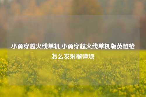 小勇穿越火线单机,小勇穿越火线单机版英雄枪怎么发射榴弹炮