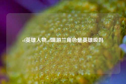 cf英雄人物,cf端游兰角色是英雄级吗