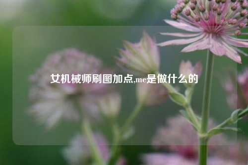 女机械师刷图加点,me是做什么的