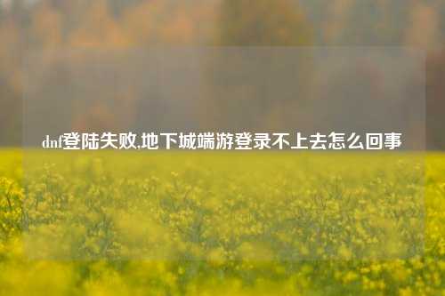 dnf登陆失败,地下城端游登录不上去怎么回事