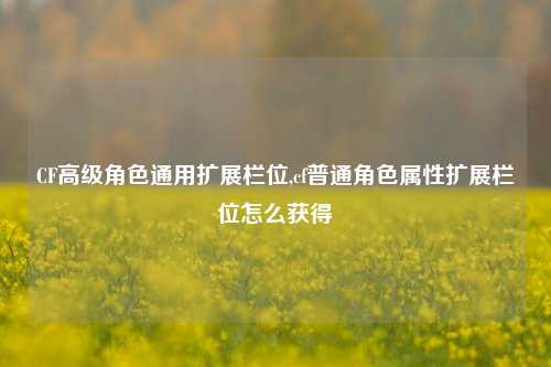 CF高级角色通用扩展栏位,cf普通角色属性扩展栏位怎么获得