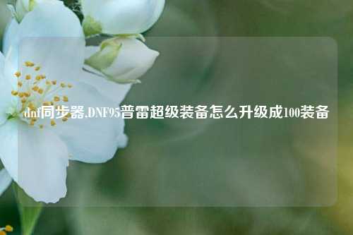 dnf同步器,DNF95普雷超级装备怎么升级成100装备