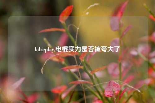 lolreplay,电棍实力是否被夸大了