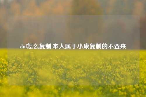 dnf怎么复制,本人属于小康复制的不要来