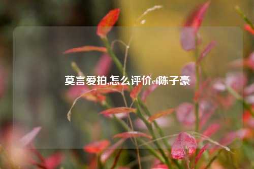 莫言爱拍,怎么评价cf陈子豪