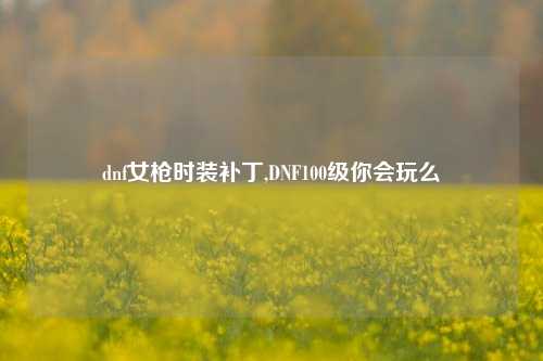 dnf女枪时装补丁,DNF100级你会玩么