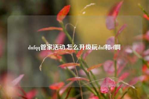 dnfqq管家活动,怎么升级玩dnf和cf啊