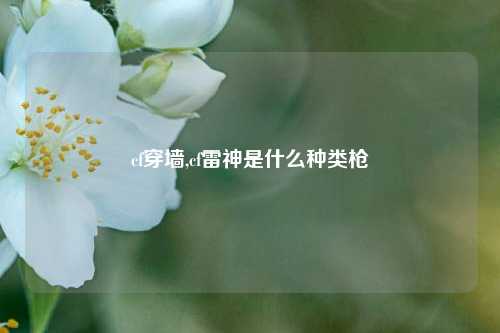 cf穿墙,cf雷神是什么种类枪