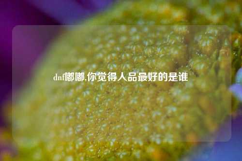 dnf嘟嘟,你觉得人品最好的是谁