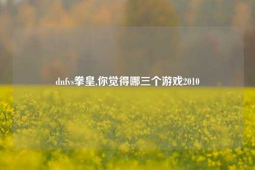 dnfvs拳皇,你觉得哪三个游戏2010