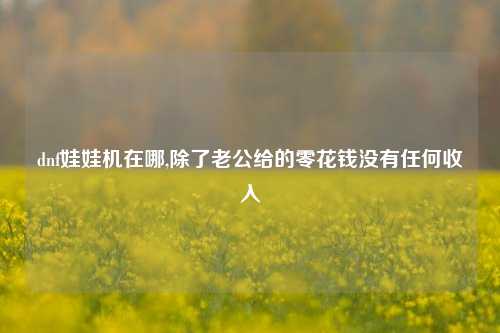 dnf娃娃机在哪,除了老公给的零花钱没有任何收入