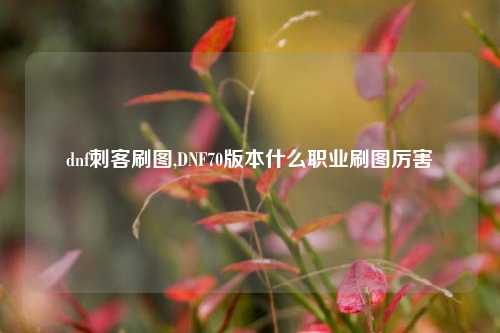 dnf刺客刷图,DNF70版本什么职业刷图厉害