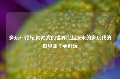 多玩dnf论坛,网易我的世界比起原来的多玩我的世界哪个更好玩