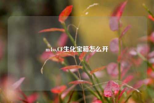 m4ss,CF生化宝箱怎么开