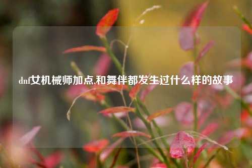 dnf女机械师加点,和舞伴都发生过什么样的故事