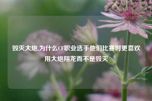 毁灭大炮,为什么CF职业选手他们比赛时更喜欢用大炮翔龙而不是毁灭