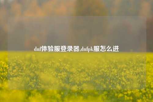 dnf体验服登录器,dnfpk服怎么进