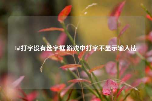 lol打字没有选字框,游戏中打字不显示输入法