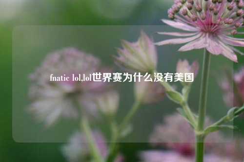 fnatic lol,lol世界赛为什么没有美国