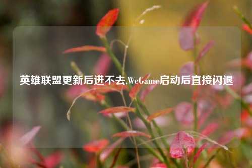 英雄联盟更新后进不去,WeGame启动后直接闪退