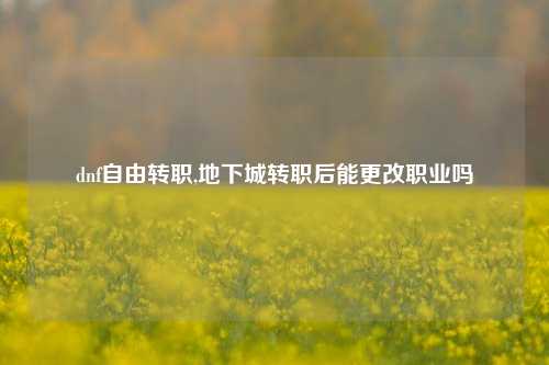 dnf自由转职,地下城转职后能更改职业吗