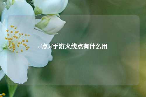 cf点,cf手游火线点有什么用