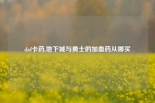 dnf卡药,地下城与勇士的加血药从哪买