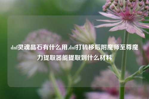 dnf灵魂晶石有什么用,dnf打转移后附魔师至尊魔力提取器能提取到什么材料