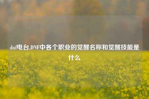 dnf电台,DNF中各个职业的觉醒名称和觉醒技能是什么