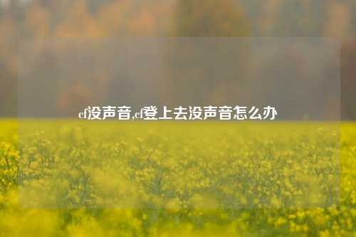 cf没声音,cf登上去没声音怎么办