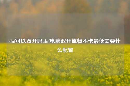 dnf可以双开吗,dnf电脑双开流畅不卡最低需要什么配置