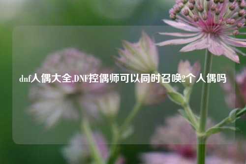 dnf人偶大全,DNF控偶师可以同时召唤2个人偶吗