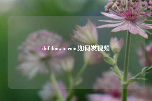 dnf.duowan.com,如何发视频